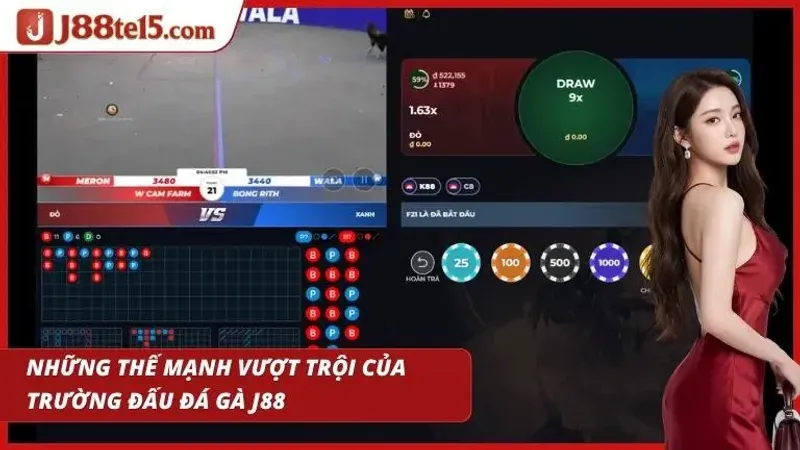 Đường truyền ổn định hỗ trợ xem và cược trực tiếp không bị giật lag
