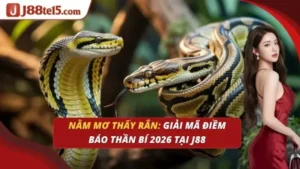 Nằm mơ thấy rắn