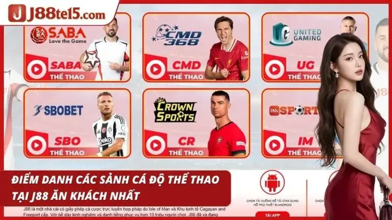 Các sảnh cược thể thao nổi bật được nhiều người lựa chọn
