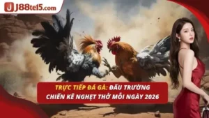 Trực tiếp đá gà